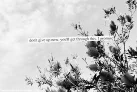 We did not find results for: Quotes About Receiving Flowers Quotesgram