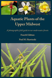 Check spelling or type a new query. Aquatic Plants Of The Upper Midwest Extension Lakes Uwsp