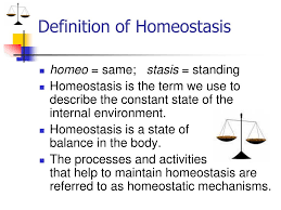 Ppt Homeostasis Powerpoint Presentation Free Download Id 1996210