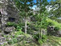 A Late Spring Naturalist Walk with Loren Merrill