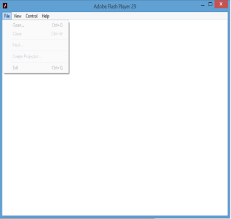 Adobe flash player is freeware software for using content created on the adobe flash platform, including viewing multimedia, executing rich internet applications, and streaming video and audio. Using The Adobe Flash Projector The Rotmg Wiki Realmeye Com