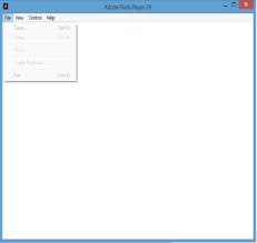 Download > run flash projector or your player. Using The Adobe Flash Projector The Rotmg Wiki Realmeye Com