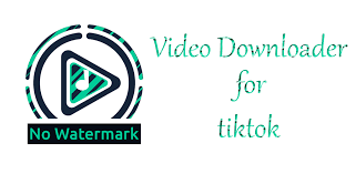 Video Downloader For Tiktok Trabajo De Peluqueria Despedida De Soltera Ideas Juegos Compras