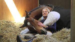 Wo nehmen sie ihre kraft, ruhe und klasse her auf den weg zum erfolg. Stillkissen Seitenschlaferkissen Von Hobea Germany Fur Einen Gesunden Schlaf In Der Schwangerschaft Youtube