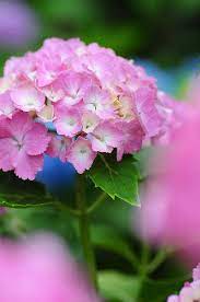 Pin On My Photography