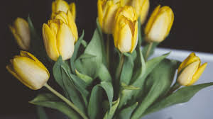 Maybe you would like to learn more about one of these? Valentine S Day 2021 Flower Shops In Metro Atlanta