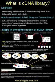 Poster Cdna Library Definition And Steps In The Construction Of Cdna Library Simplified Biomedical Science Molecular Biology Study Biology