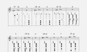 69 True Free Bass Clarinet Finger Chart