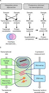 Possiamo immaginare gli aminoacidi come i mattoni per la costruzione delle proteine ed i legami peptidici come il collante che li. Linking Transcriptomics And Proteomics In Spermatogenesis In Reproduction Volume 150 Issue 5 2015