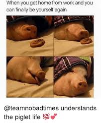 25 Best Memes About When You Get Home When You Get Home Memes