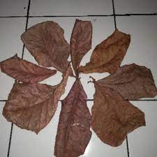 Beli produk daun ketapang kering berkualitas dengan harga murah dari berbagai pelapak di indonesia. Daun Ketapang Kering Untuk Ikan Hias Isi 50 Lembar Shopee Indonesia