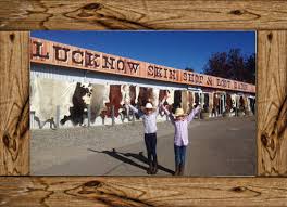 Lucknow Skin Shop Boot Barn Orange Australia