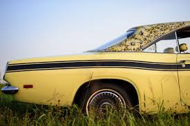 Image result for Spanish Gold 1969 Barracuda