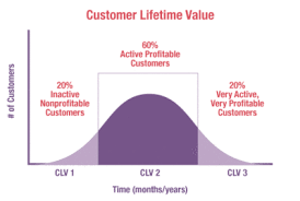 Customer Lifetime Value Cio Wiki