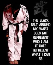 Pin En Tae Kwon Do