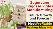 Sugarcane Bagasse Plates Manufacturing