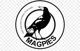 Attribution is required how to attribute? Port Adelaide Football Club Der Australische Fussballverein Adelaide Oval Collingwood Australischer Fussball Afl Logo Png Herunterladen 562 562 Kostenlos Transparent Vogel Png Herunterladen