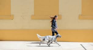 When does weight gain start during pregnancy? Gaining Too Much Weight In Pregnancy Babycenter