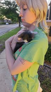 Reputable rescue for stray kittens needed