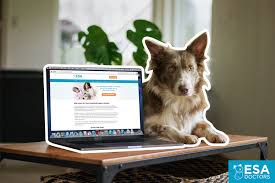 Maybe you would like to learn more about one of these? How To Register My Dog As An Esa Tip 1 Don T Esa Doctors