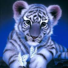 Best 5d Diamond Painting Kits Pretty Neat Creative Cute Animals Cute Tigers Animals
