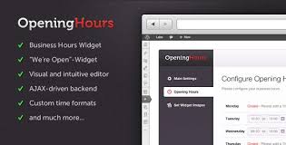 Opening Hours Wordpress Business Hours Plugin Wordpress Plugins Wordpress Plugins