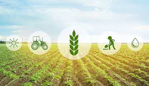 Discover the agriculture with discover agriculture youtube channel.!career in agriculture is one of the largest industries and a good source of employment. Agriculture Market In Finland Agriculture Industry In Finland