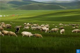 五一推荐：这个美如天堂的呼伦贝尔草原，是世界四大草原之一，盛赞北国碧玉_内蒙古自治区