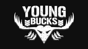 Michael weinstein nba logo redesigns milwaukee. Young Bucks Logo Wallpaper 1080p By Darkvoidpictures On Deviantart