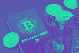 Cash icon vector illustration style is a flat. Bitcoin Cash Bch Bald Bei 3000 Usd Kim Dotcom Sieht Wachstum Von Mehr Als 800