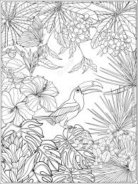 Tropical coloring fairy coloring is a true plants coloring pages with easy. Tropical Wild Birds And Plants Tropical Garden Collection Coloring Royalty Free Cliparts Vectors And Stock Illustration Image 60088067