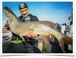 Hon tog på en pelagisk spinnfiskad relax ripper sm 9 över 10. Varfiske Efter Gadda Hur Gor Tero Paakki Fiskefuralle