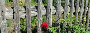 Check spelling or type a new query. Comment Faire Une Cloture En Bois Au Jardin