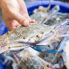 How To Eat & Pick Blue Crab: A Step By Step Guide!