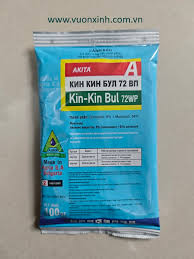 Kin-kin Bul 72WP