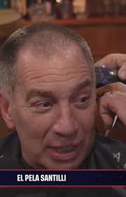 Tom, el perro héroe de Malvinas: Se coló en la guerra y anticipaba ataques  enemigos