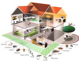Pest control los angeles, ca. Guarantee Pest Control Los Angeles Call Us Now