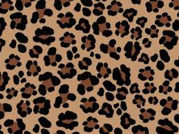 Terimakasih sudah berkunjung, sampai berjumpa lagi di postingan lainnya. Seela Seelalaitala Profiili Pinterest