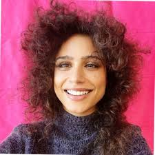 Mentors, Experts, and Fellows