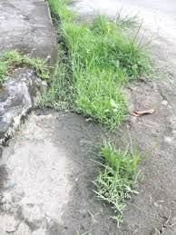 Along the years, the company has ventured into housing development and building construction. Kekal Mewah Is Told To Maintain Roadside Drains Daily Express Online Sabah S Leading News Portal