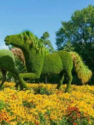 Life Like Formschnitt Garten Gartenkunst Pflanzen Kunst