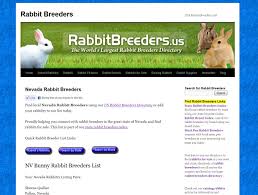 It offers classes from kindergarten to 5th grade. Rabbits For Sale In Derry Village Nh Usa Rabbit Breeders