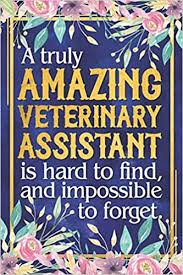 Top 5 vet assistant resume objective. Heroes And Helpers Veterinary Assistant Job Description Grady Veterinary Hospital Grady Veterinary Hospital