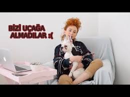 Ucakta Evcil Hayvan Tasima Kurallari Hangi Havayolu En Iyi Youtube