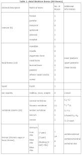 Organization Of The Skeleton