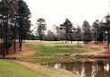 Linrick Golf Course in Columbia, South Carolina | foretee.com