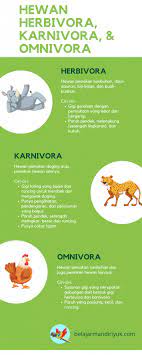 Omnivora merupakam sebutan bagi hewan yang memakan tumbuh tumbuhan sekaligus daging. Mengenal Hewan Herbivora Karnivora Dan Omnivora Belajar Mandiri Yuk