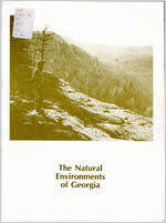 Image result for Cyperus longicarpus