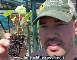 My secret weapon for starting seeds..