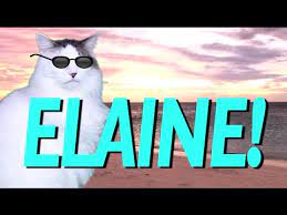 Happy Birthday Elaine Epic Cat Happy Birthday Song Youtube